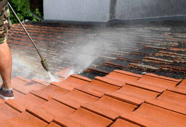 Best Roof Pressure Washing  in Bell Nyon, CA